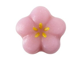 【赤坂店】2025年9月の限定販売生菓子