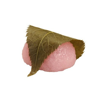 【京都一条店】道明寺製『桜餅・紅』販売（2026年3月）