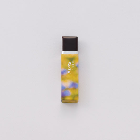 春パッケージ小形羊羹 おもかげ